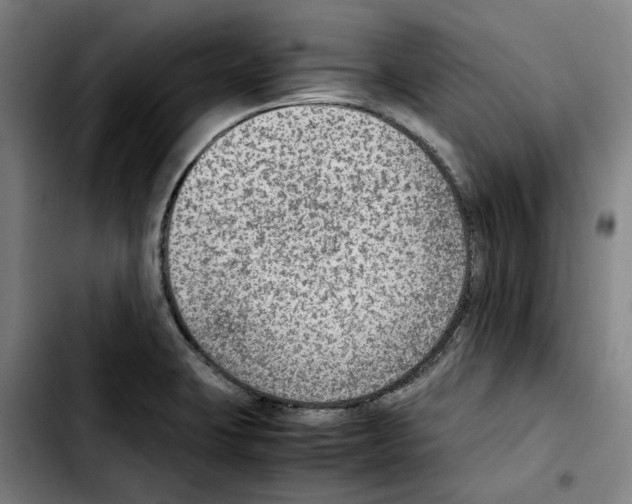 X0000103411423200810241158