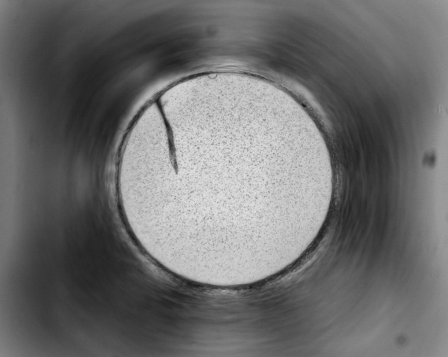 X0000103411424200810241158