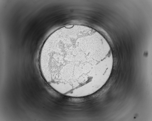 X0000103411427200810241158