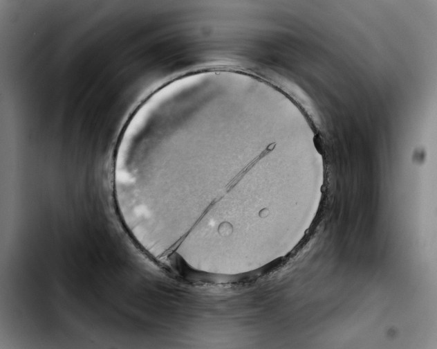 X0000103411428200810241158