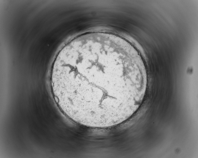 X0000103411429200810241158