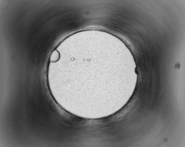 X0000103411430200810241158