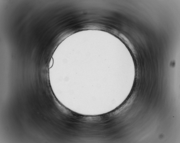 X0000103411433200810241158