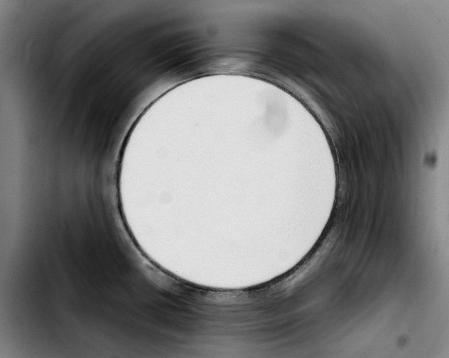 X0000103411434200810241158