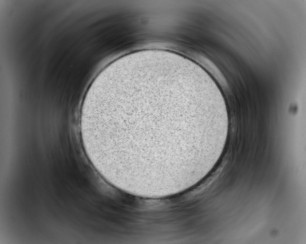 X0000103411436200810241158