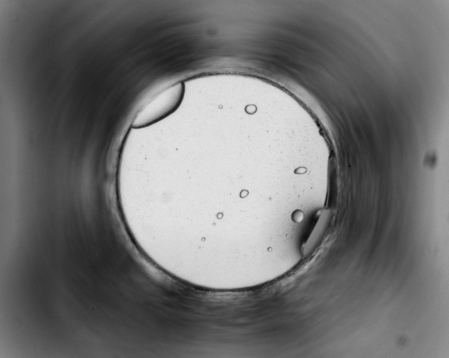 X0000103411437200810241158