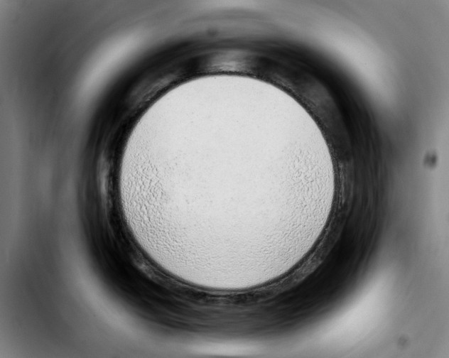 X0000103411438200810241158