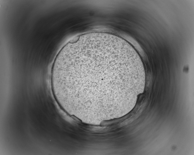 X0000103411439200810241158