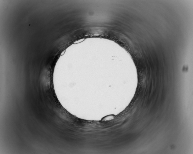 X0000103411442200810241157