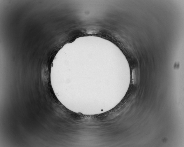 X0000103411443200810241157