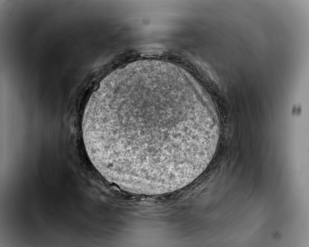 X0000103411445200810241157