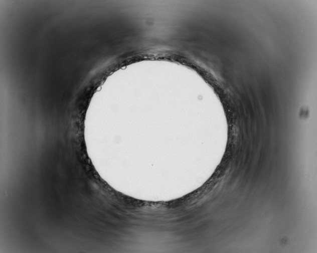 X0000103411447200810241157