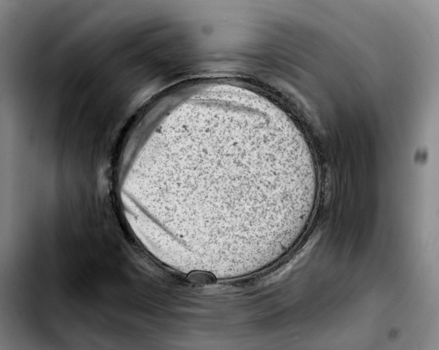 X0000103411449200810241157