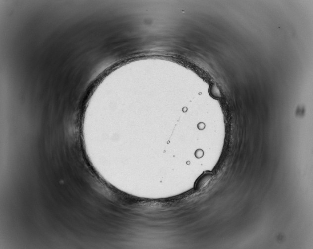 X0000103411450200810241157