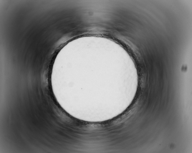 X0000103411451200810241157