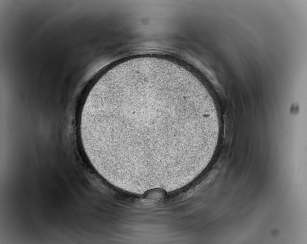 X0000103411453200810241157