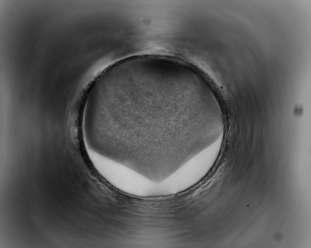 X0000103411455200810241157