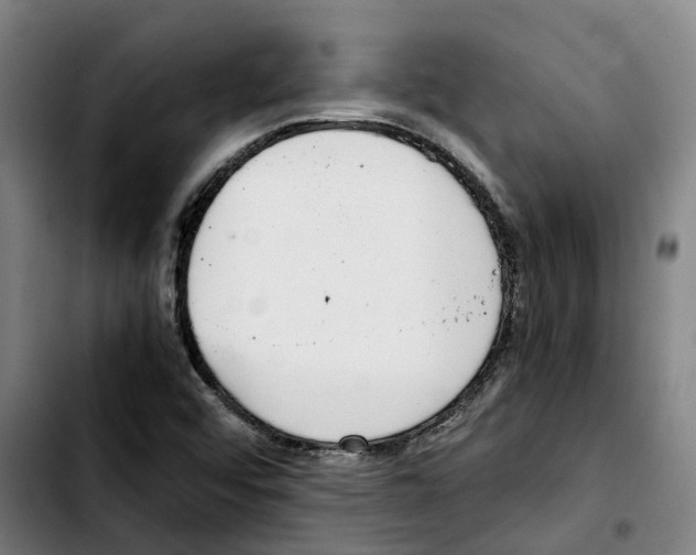 X0000103411456200810241157