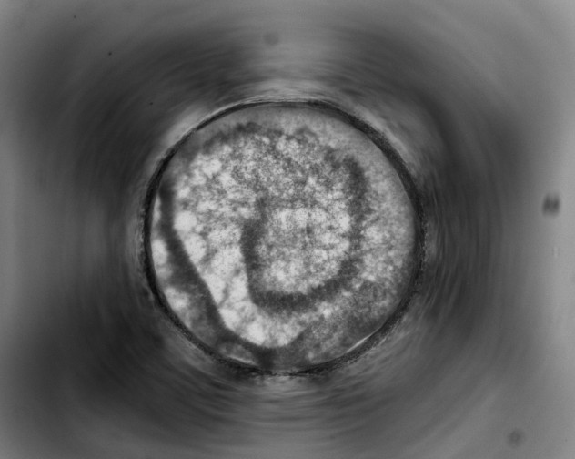 X0000103411459200810241157