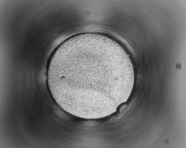 X0000103411461200810241157