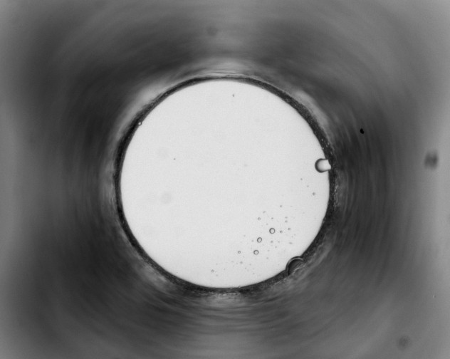 X0000103411464200810241157