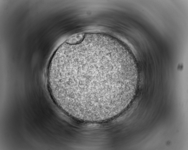 X0000103411467200810241157