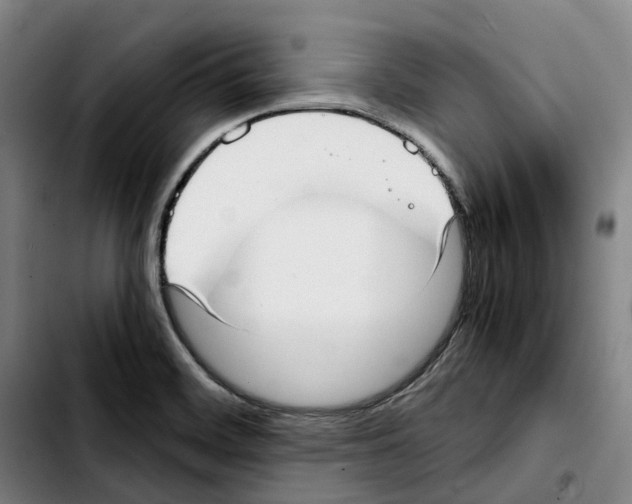 X0000103411468200810241157