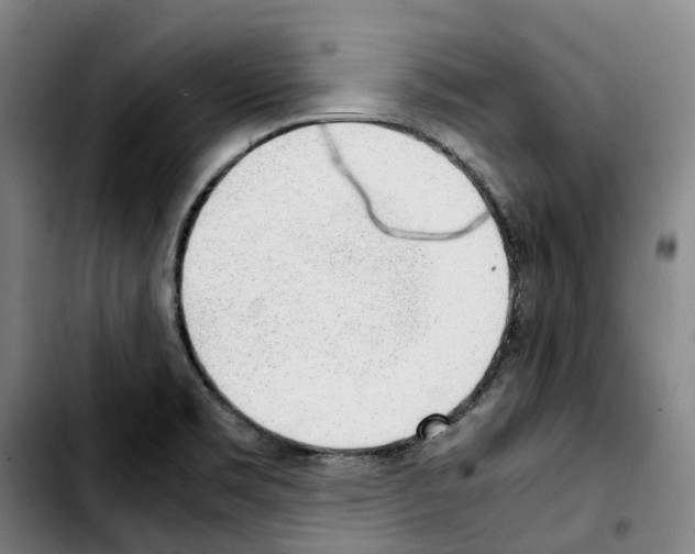 X0000103411469200810241157