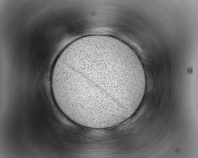 X0000103411470200810241157