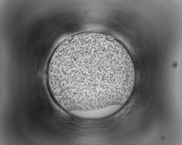 X0000103411471200810241157