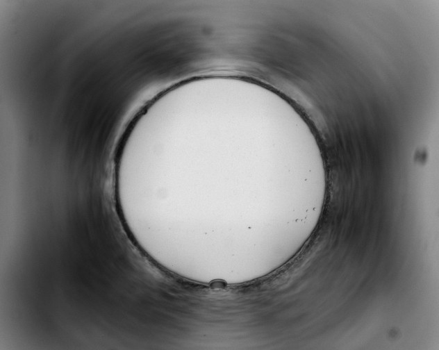 X0000103411472200810241157