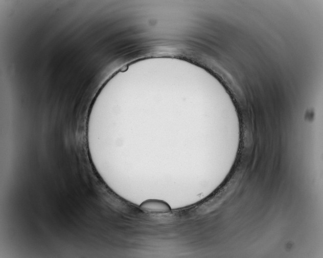 X0000103411473200810241157