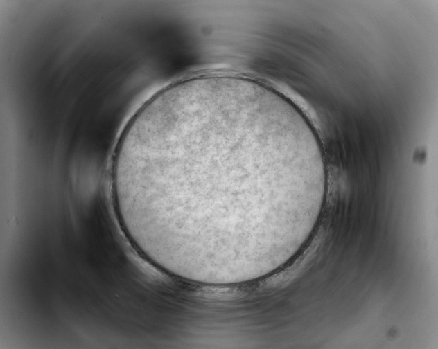 X0000103411474200810241157