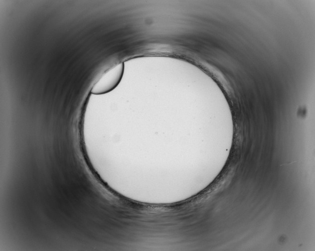 X0000103411475200810241157