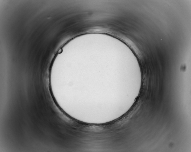 X0000103411476200810241157