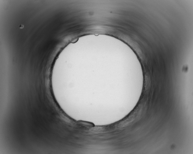 X0000103411477200810241157