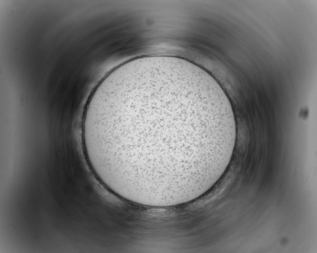 X0000103411478200810241157