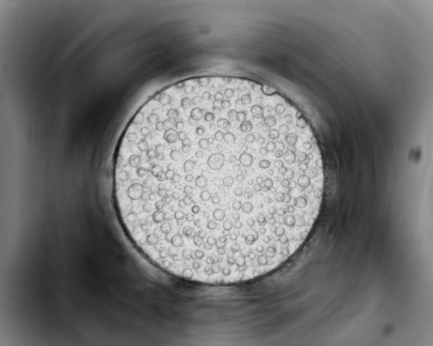 X0000103411479200810241157