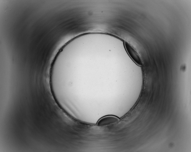 X0000103411480200810241157