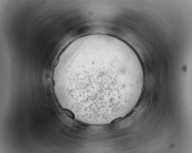 X0000103411481200810241157