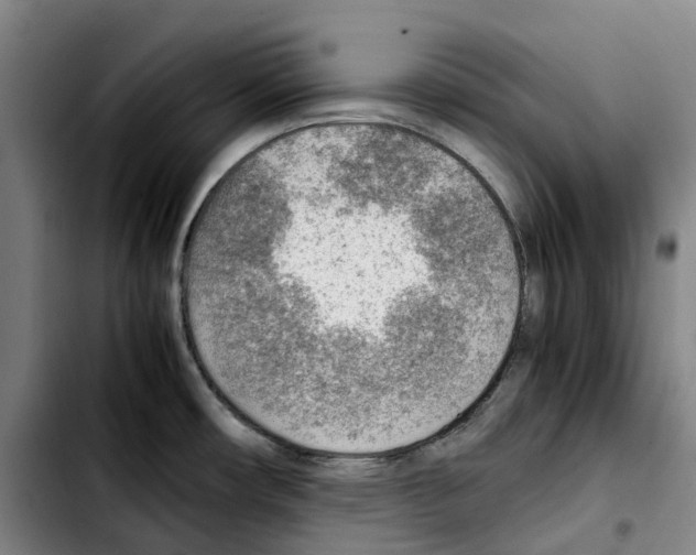 X0000103411482200810241157