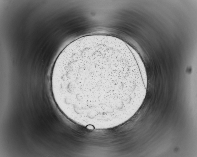 X0000103411483200810241157