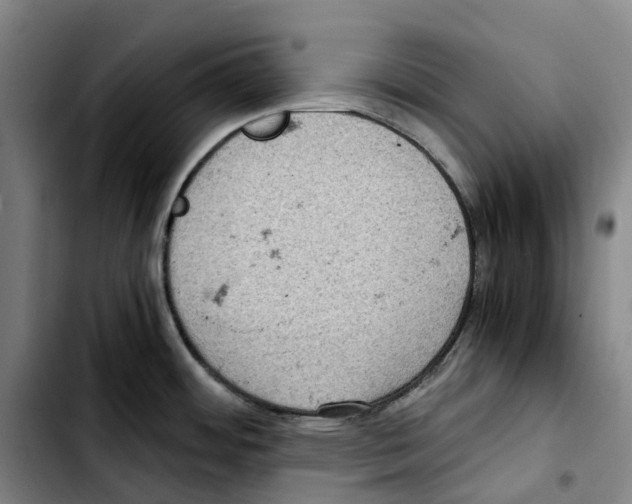 X0000103411484200810241157