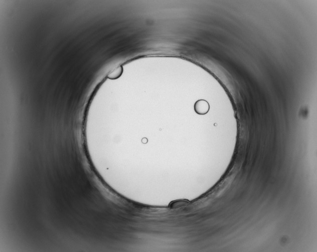 X0000103411485200810241157