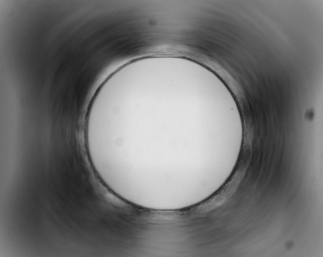 X0000103411486200810241157