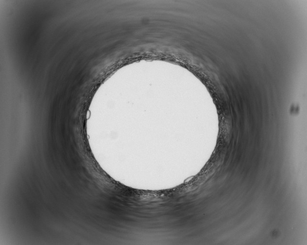 X0000103411489200810241156