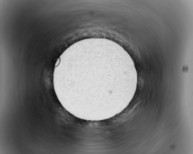 X0000103411490200810241156