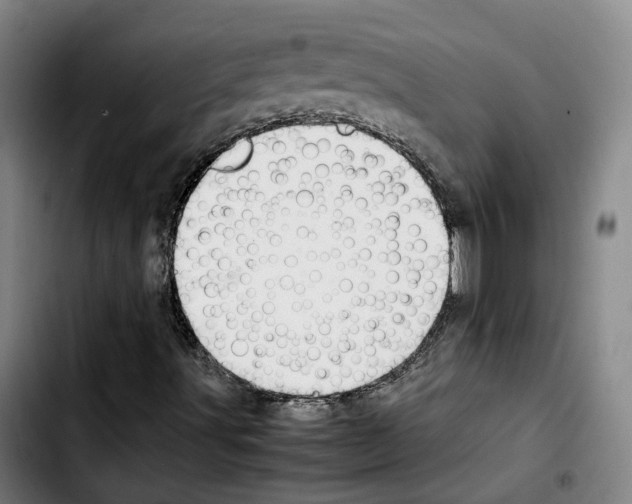 X0000103411491200810241156