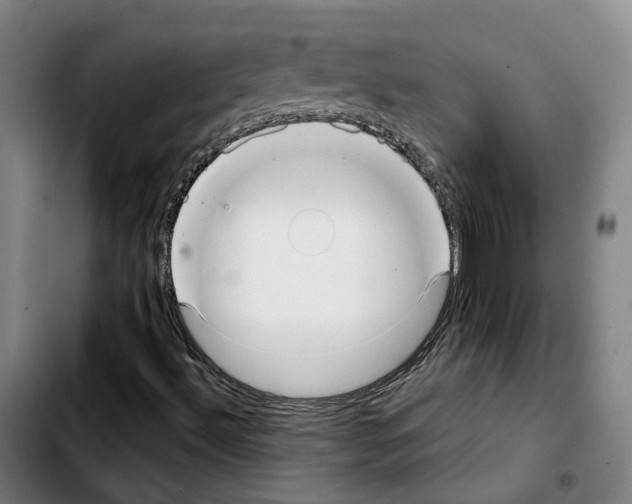 X0000103411492200810241156