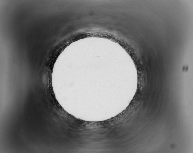 X0000103411493200810241156